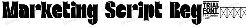 Marketing Script Reg字体转换